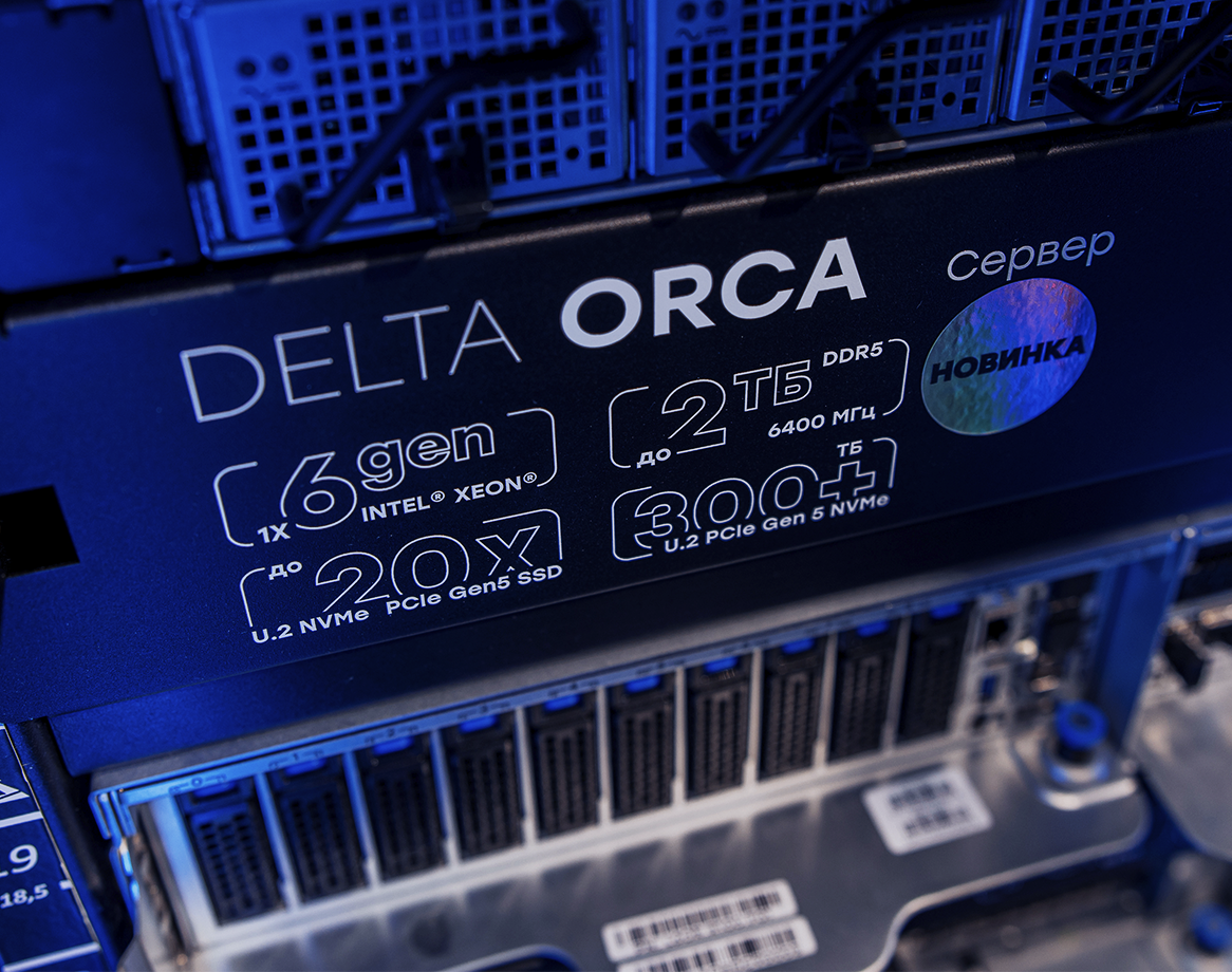 Специализированный сервер хранения Delta Orca включен в реестр Минпромторга